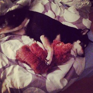 10414897_10152792602873121_2031601286168145417_n