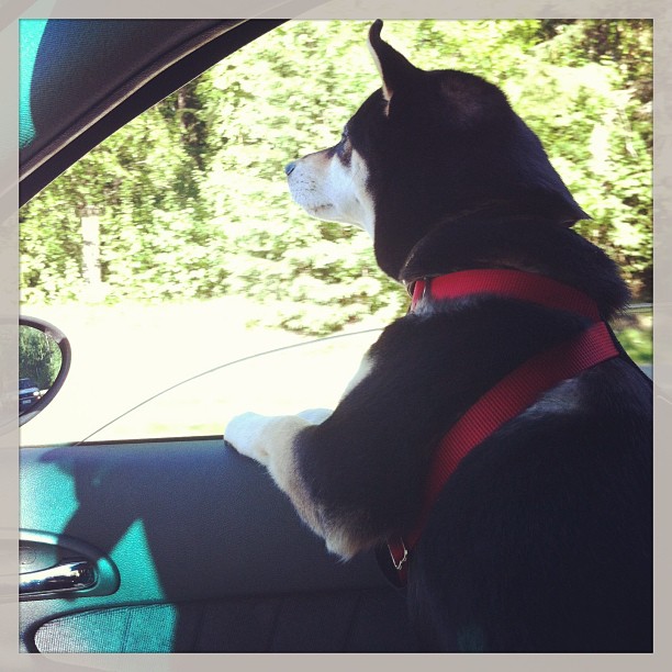 181270_10151505330863121_594459447_n