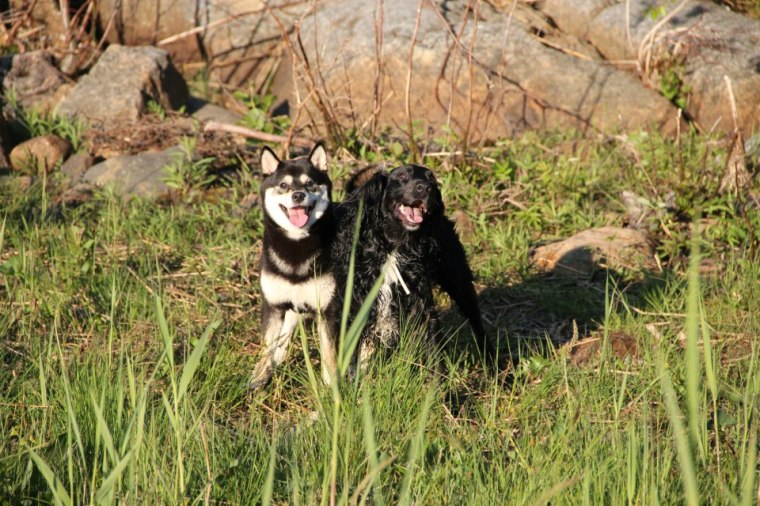 316850_10151065480648121_369251758_n