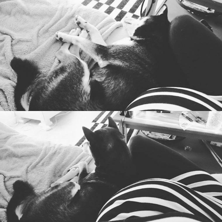 12047278_10153245699053121_694482773_n