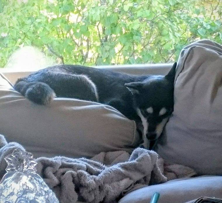 12071268_10153258982618121_1595743361_n