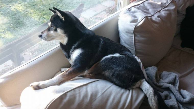 12119217_10153258982698121_1049411591_o