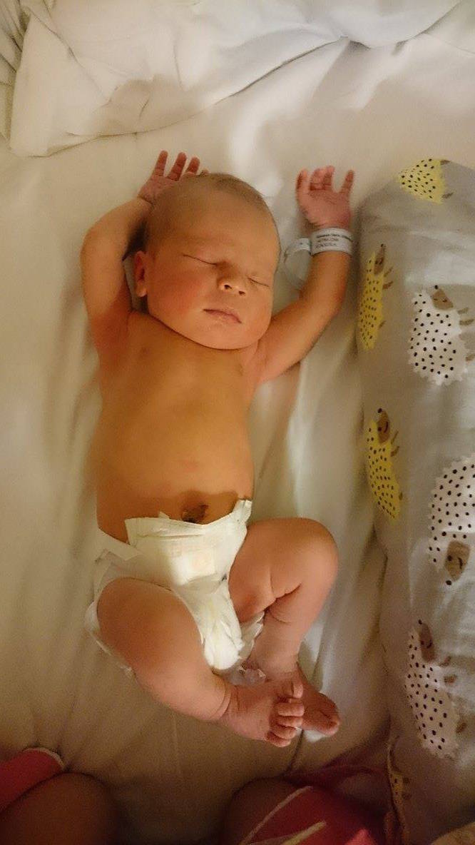 12169907_10153275816233121_1611017278_o