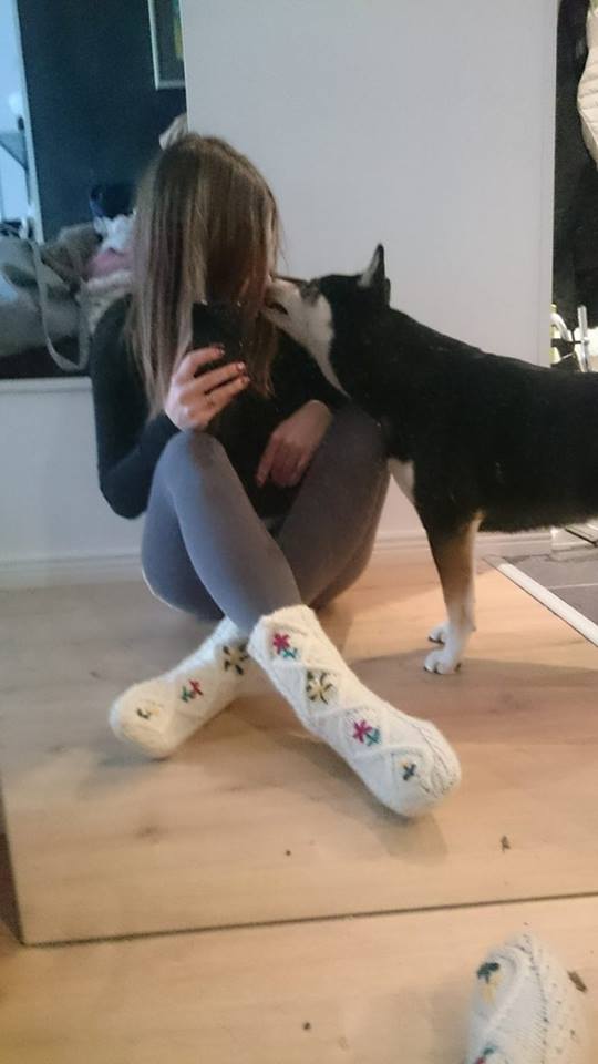 12404513_10153396522273121_1792134149_n