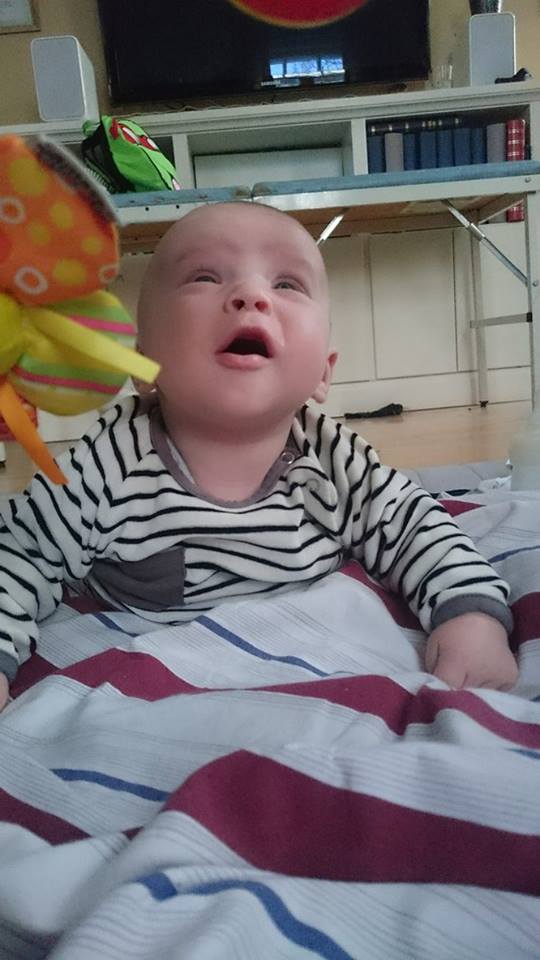 12540243_10153430121633121_1841626312_n