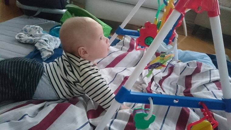 12557804_10153430121693121_1677503806_o