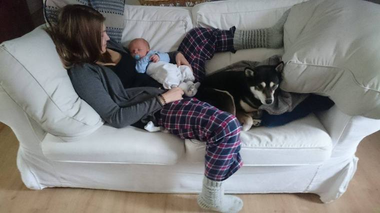 12633183_10153464174253121_226898640_o