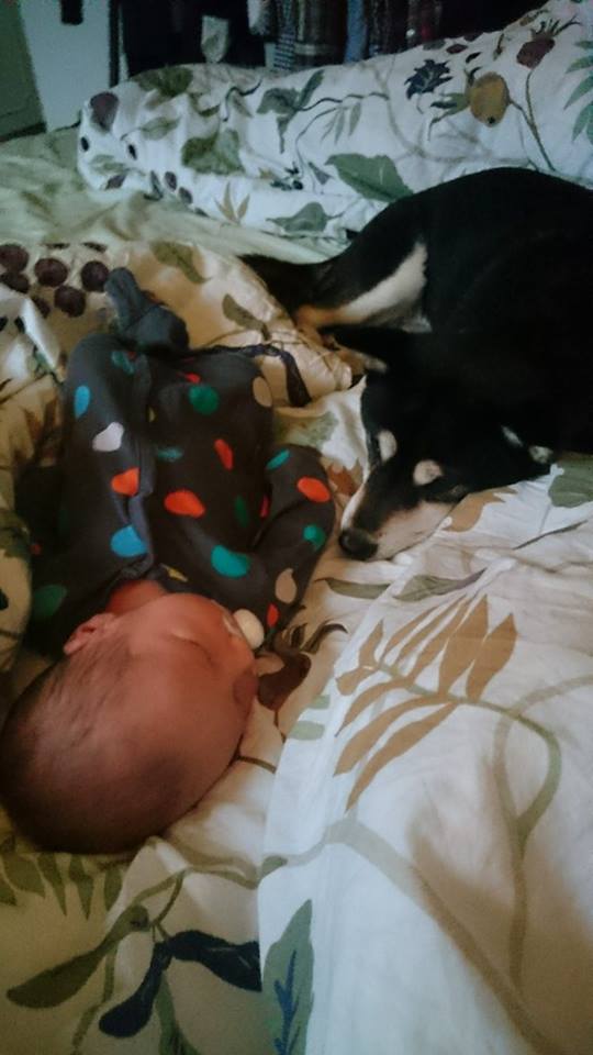 12648102_10153464174383121_1302216794_n