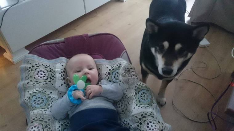 12656429_10153464174223121_594497899_o