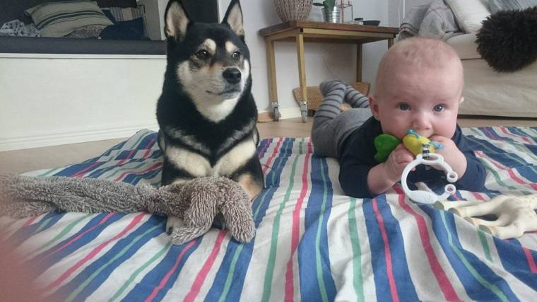 12755020_10153510052328121_1254088436_o