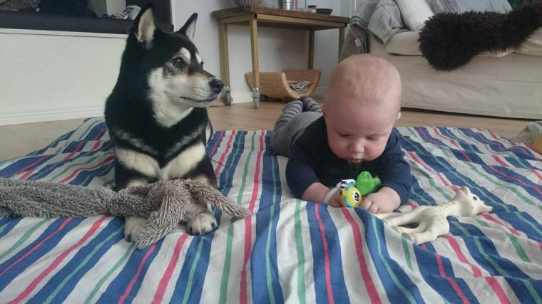 12773098_10153510052193121_680063258_o