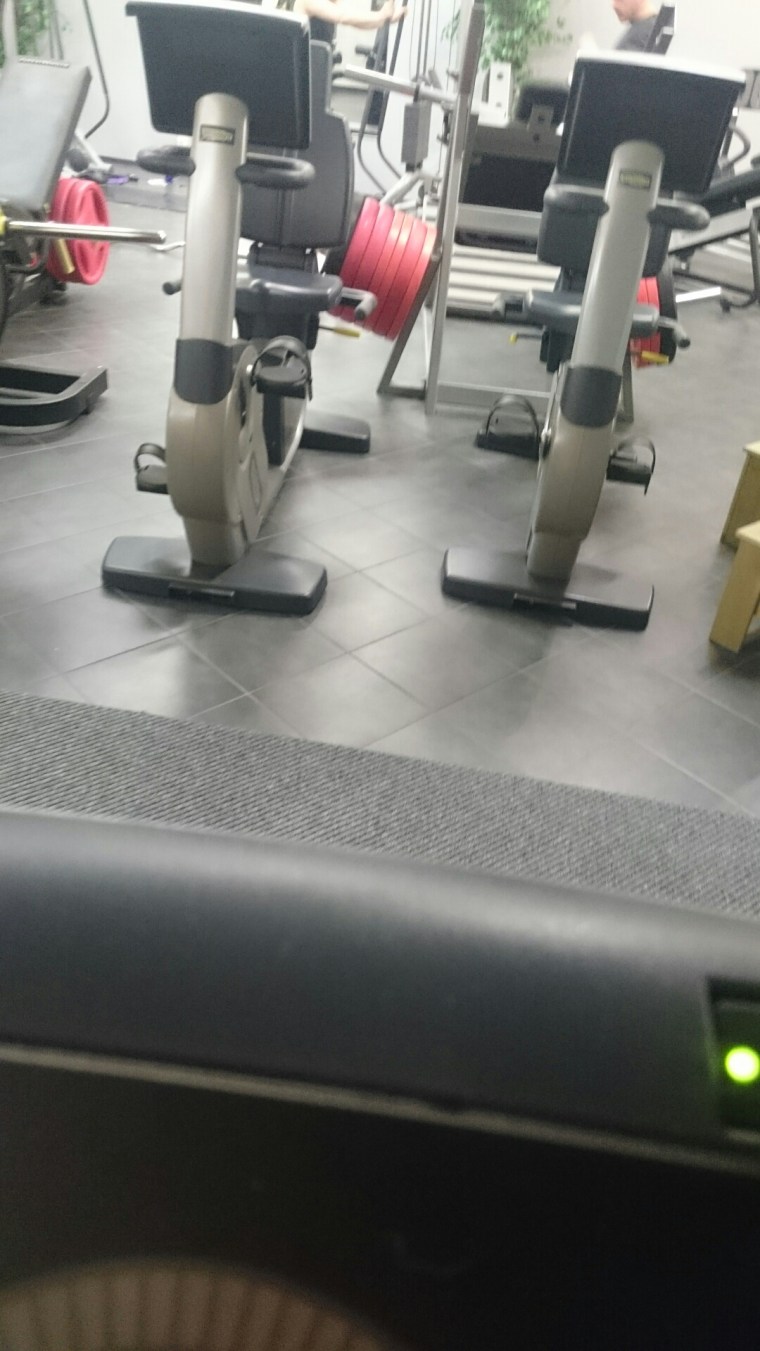 wp-1455039305419 image