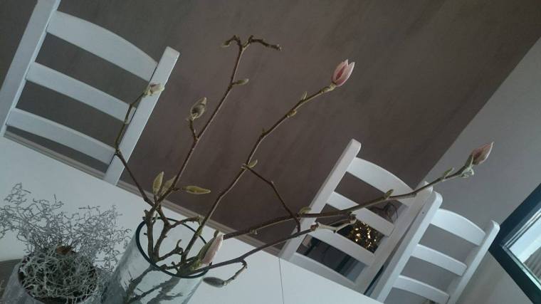 12082018_10153536694128121_1328706683_o