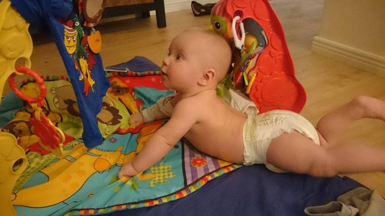 12325650_10153554476528121_370603123_o