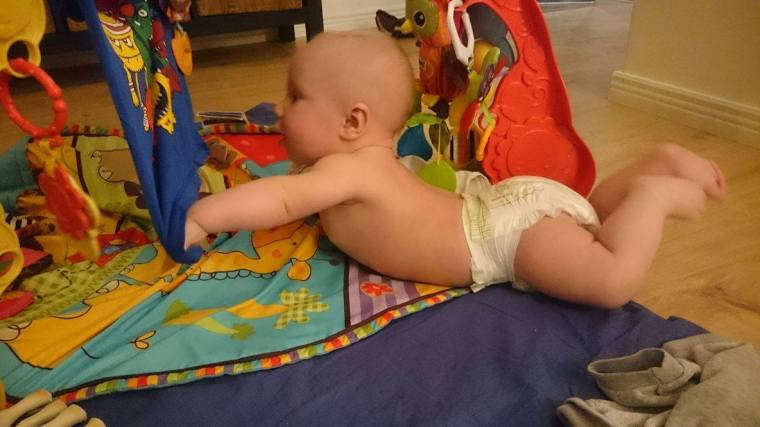 12380645_10153554476218121_796269985_o