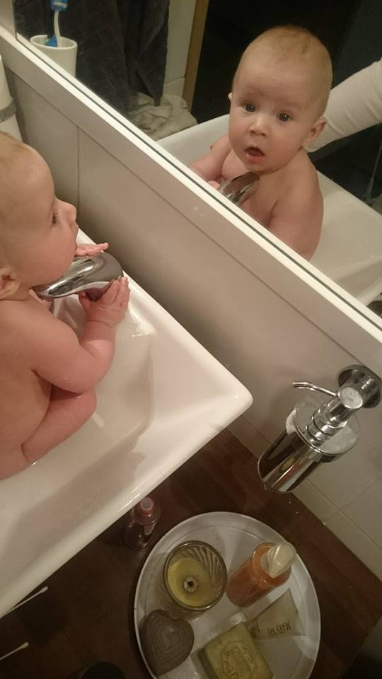 12804301_10153577712838121_292695448_n