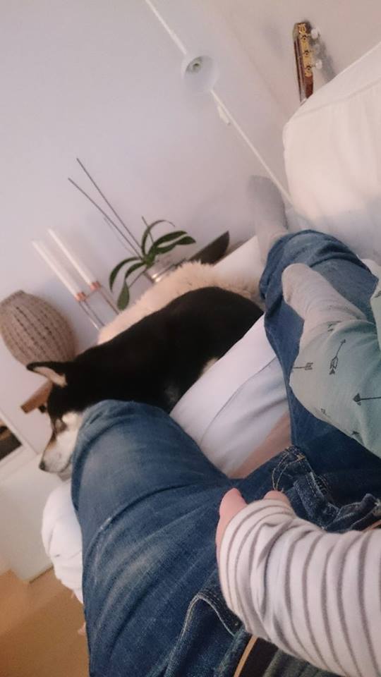 12825204_10153533264258121_1911830251_n