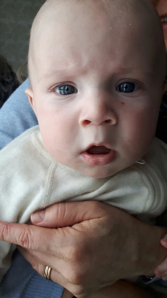 12834933_10153533264143121_1133673162_n