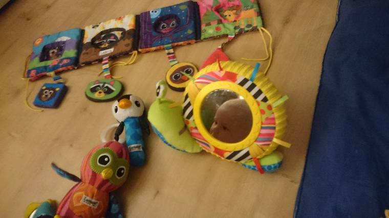 12842661_10153554476128121_371733011_o