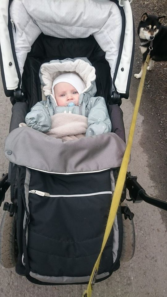 12910226_10153609587933121_436766471_n