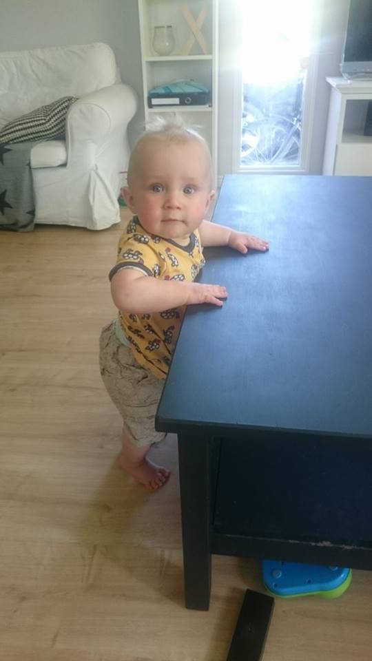 13336305_10153746768118121_828883654_n