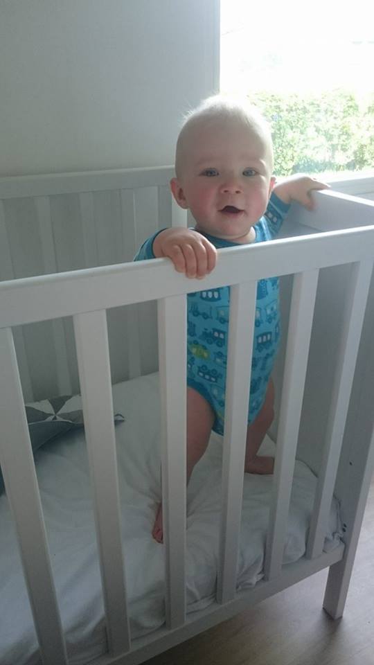 13349131_10153746768098121_1692200765_n