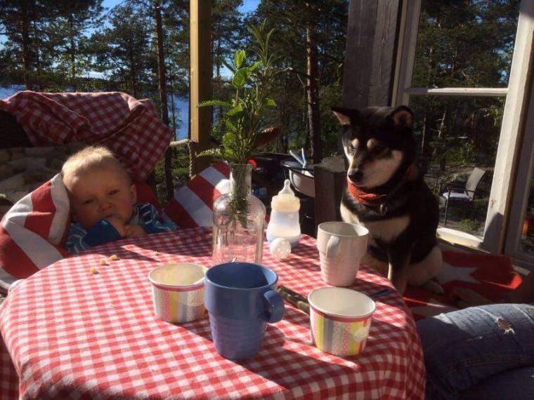 13492800_10153791164783121_937075854_n