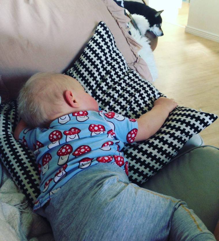 13515432_10153795712108121_1276076330_n