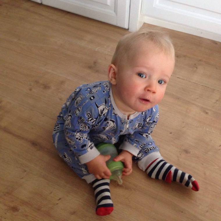 13664562_10153841585548121_1901483361_n