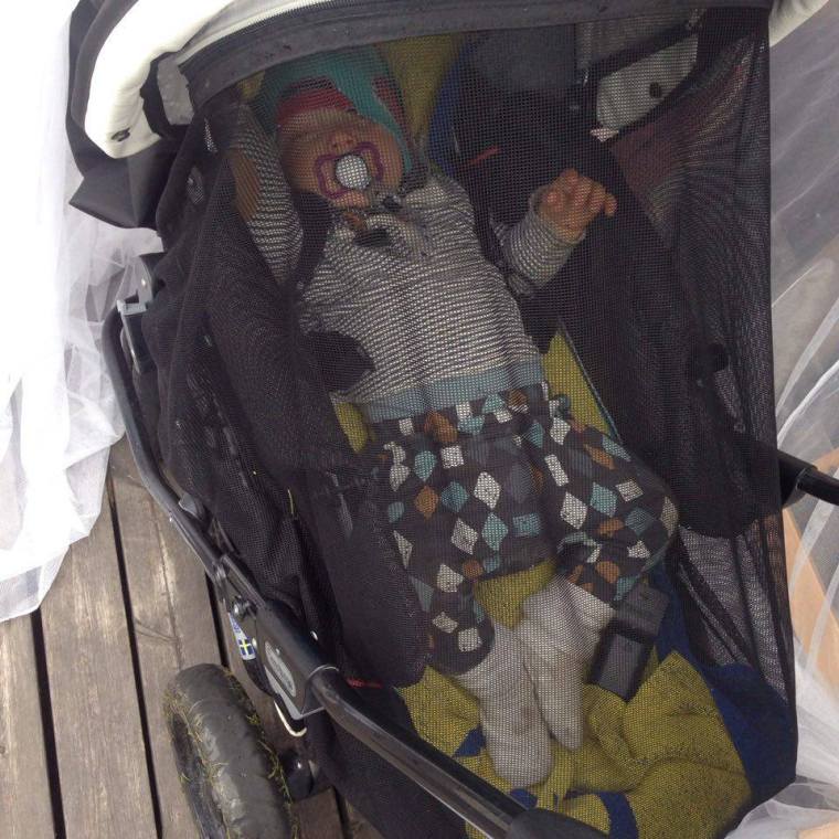 13664655_10153840385118121_1192153917_n