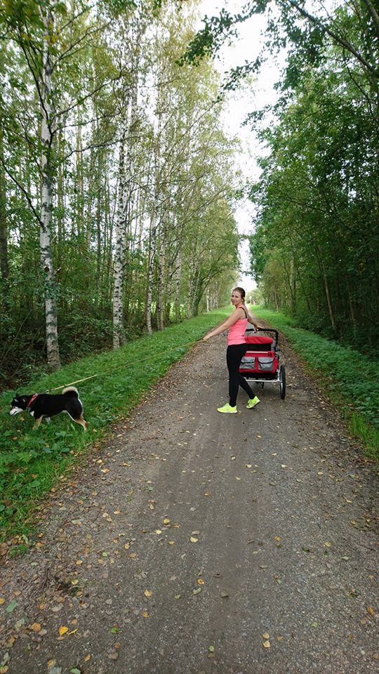 14081434_10153941077603121_1753028338_n