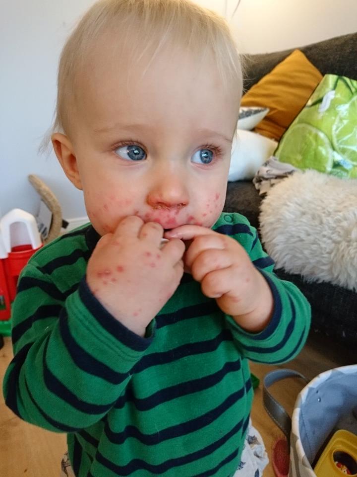 14528177_10154054189003121_1010290578_n