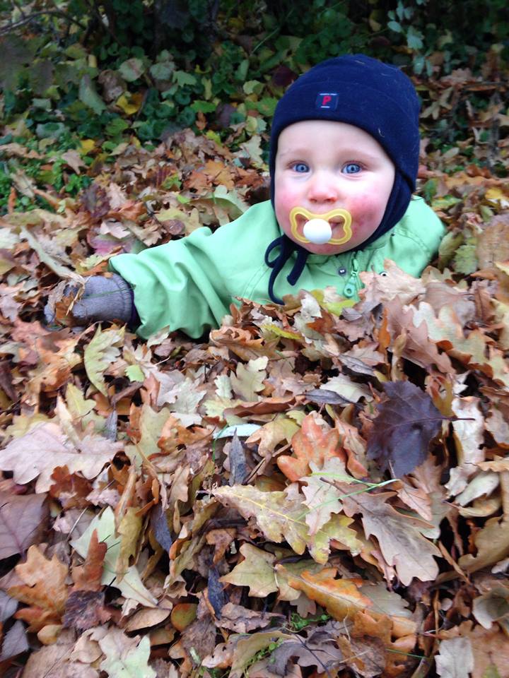 14680728_10154114157848458_6587178422328376154_n