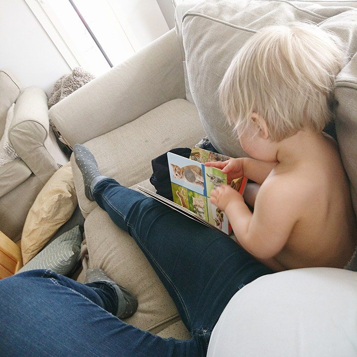 18601479_10154742939948121_492050578_n