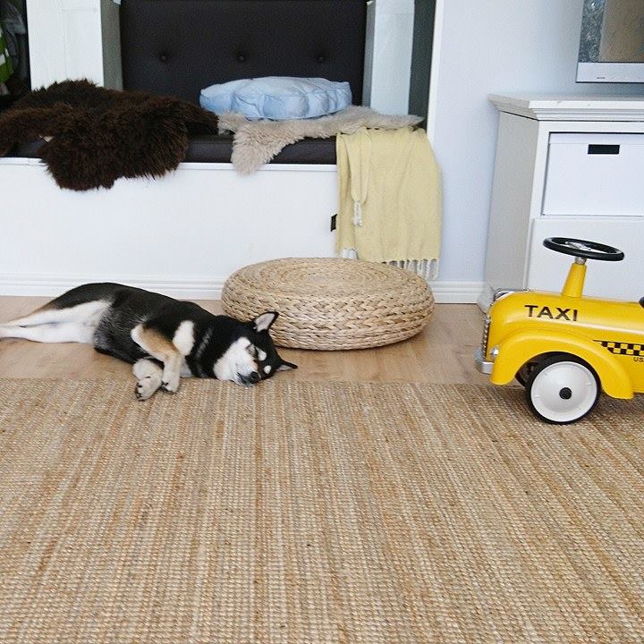 18762351_10154762952813121_279765135_n