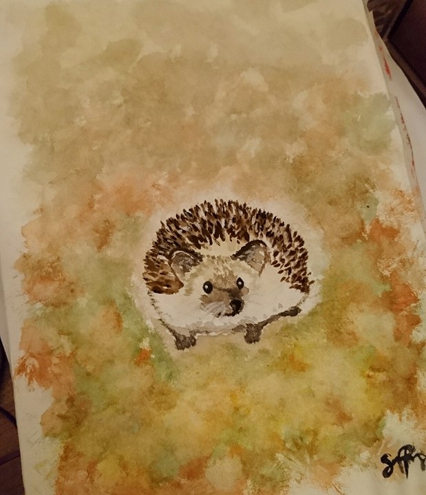 26793854_10155380975813121_1065615672_n